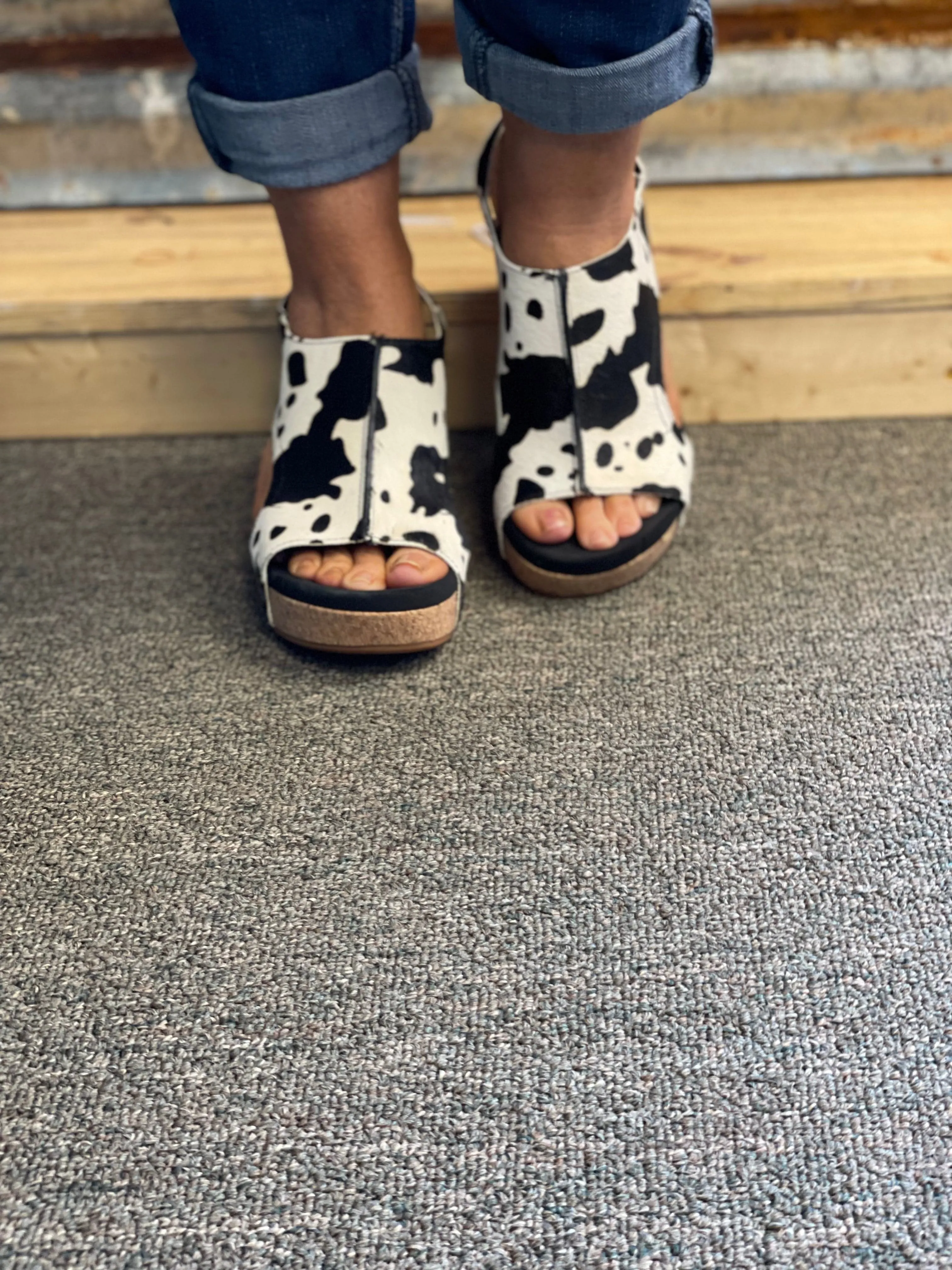 Pasture Cow Wedges