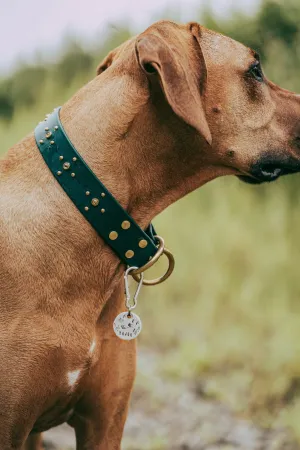 Slip Collar Upgrade