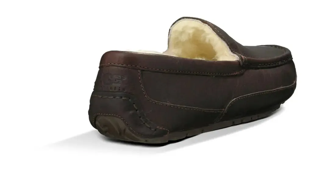 The Mens UGG Ascot (Leather) Slipper  Timeless Style & Everyday Comfort